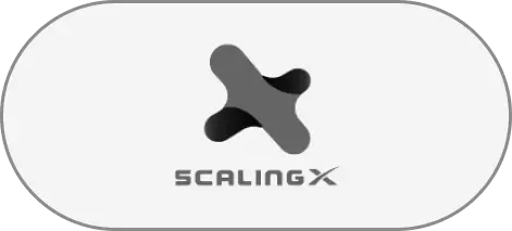 SCALING X