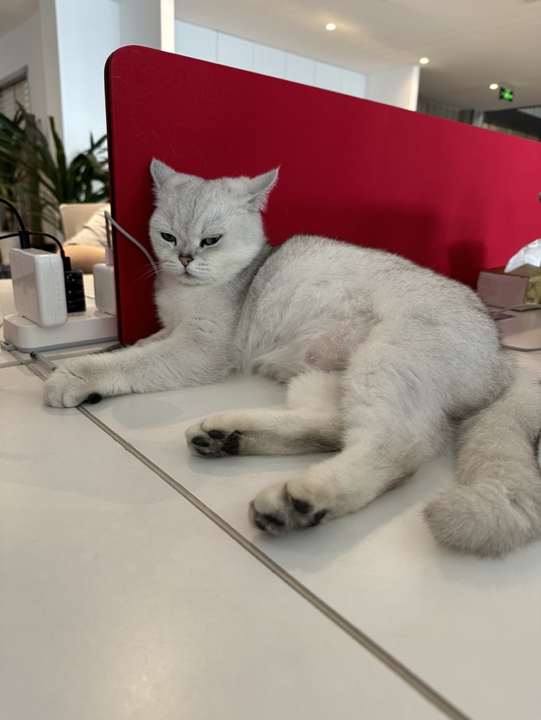 test5-28
