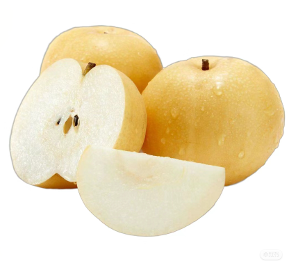 新版本1（排1）